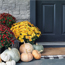 Porch with rug, pumpkins and flowers
