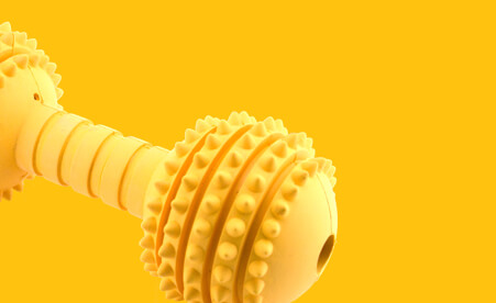 Image containing a dog toy