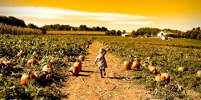 Fall Activities for Families in Central PA