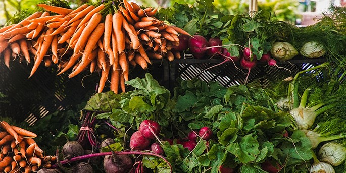 The Best Vegetables to Grow in Winter